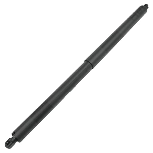 DZSJFGAIS Fb5378402a55ba Power Hatch Lift Unterstützung Für Ford Für Explorer 2011 2012 2013 2014 2015 Paar Elektrische Heckklappe Gas Streben Elektrische Heckklappe Gasdruckfeder(R) von DZSJFGAIS