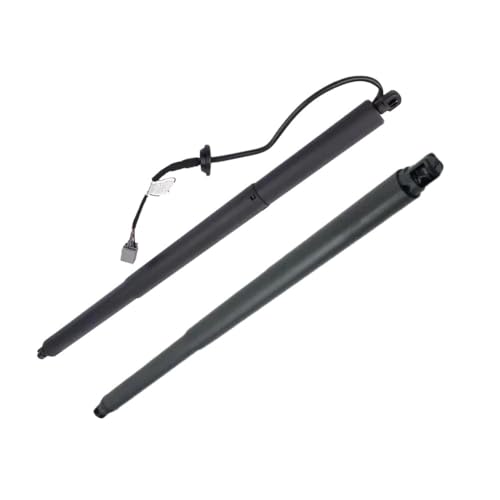 Power Hatch Lift Support Für Tesla Für Modell S Für Modell Y Für Modell X 2012-2013 2014-2015-2016-2019, Ein Paar Elektrische Heckklappen-Gasdruckfedern Elektrische Heckklappe Gasdruckfeder(2020-2022 von DZSJFGAIS