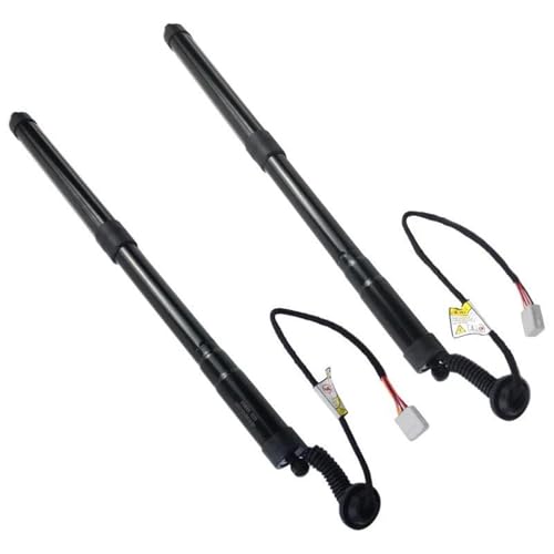 DZSJUNCHENSM Kofferraum-Gasfeder 2X Hinten Links Rechts Heckklappe Gas Streben Für Lexus NX300 NX300h AZ10 2018 2019 2020 2021 6892079017 6891079017 Heckklappe Gasdruckfeder(L and R) von DZSJUNCHENSM