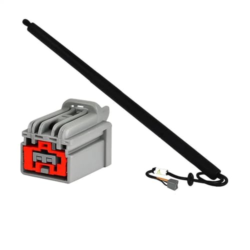 DZSJUNCHENSM Kofferraum-Gasfeder 600661000B 6006611-00-B 600661100B Elektrische Heckklappe Trunk Gas Frühling Strut Teil Für Tesla Für Model S 2014-2020 Heckklappe Gasdruckfeder(RH) von DZSJUNCHENSM