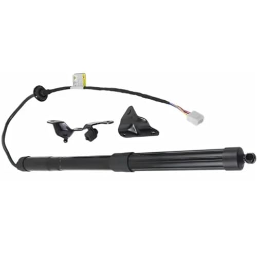 DZSJUNCHENSM Kofferraum-Gasfeder 6891009010 6892009010 1 Xpair Auto Teile Elektrische Heckklappe Gasdruckfeder Für Toyota Für Rav4 2013-2018 Rh + Lh #6891009010 Heckklappe Gasdruckfeder(Links) von DZSJUNCHENSM