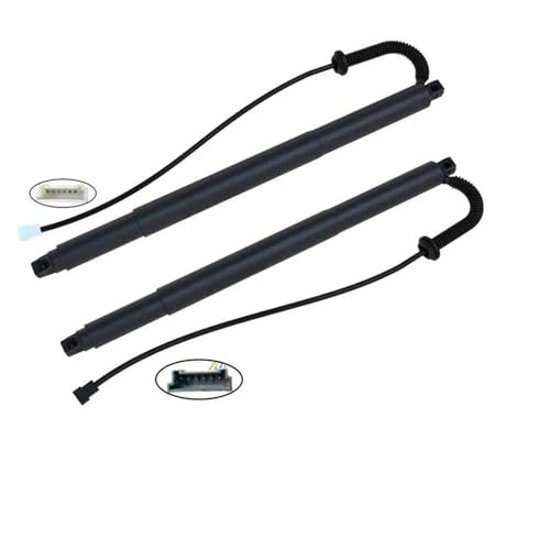 DZSJUNCHENSM Kofferraum-Gasfeder Für X6 F16 2015-2019 Hatch Lift Unterstützung Opener Stoßdämpfer Elektrische Heckklappe Gasfeder Streben 51247318651 51247318652 Heckklappe Gasdruckfeder(2 PCs) von DZSJUNCHENSM