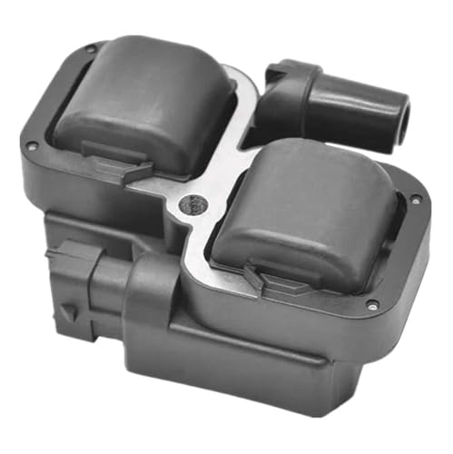 DZSJUNCHENSM Zündmodul Externe Zündspule 2876049 4010425 Für Polaris Für Ranger RZR 800 900 1000 XP EFI 2005-2020 Zündspule Ersatz von DZSJUNCHENSM