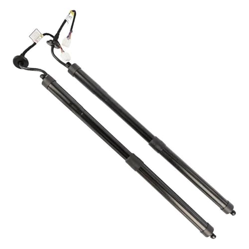 DZSNBMSHD Elektrische Gasfeder 2Pcs Elektrische Heckklappe Stamm Streben 905614CL3A 905614BA4A Für Nissan Für X Trail T32 2014-2020 LH + RH Gasfeder Gasdruckfeder Lift Stützen von DZSNBMSHD