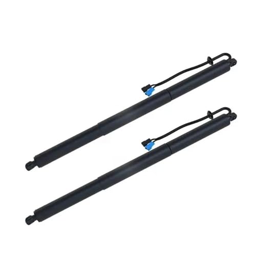 Elektrische Gasfeder OE 51249465654 Autoteile Links Und Rechts Auto Elektrische Heckklappenheber Heckklappen-Gasdruckfeder Für X2 F39 2018 2019 2020 Gasfeder Gasdruckfeder Lift Stützen(A pair) von DZSNBMSHD
