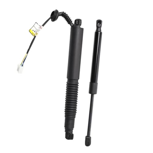 DZSQQGSDSF Gasdruckfedern Unterstützen 2 STÜCKE Hinten Links Rechts Elektrische Heckklappe Stamm Strut 1551488-99-B Für Model 3 2021-2023 1551488-00-C 1551488-98-B 1551489-00-B Hydraulische Gasfeder DZSQQGSDSF Gasdruckfedern Unterstützen 2 STÜCKE Hinten Links Rechts Elektrische Heckklappe Stamm Strut 1551488-99-B Für Model 3 2021-2023 1551488-00-C 1551488-98-B 1551489-00-B Hydraulische Gasfeder von DZSQQGSDSF