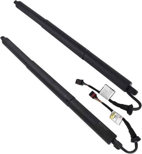 DZSQQGSDSF Gasdruckfedern Unterstützen 4M8827851D Elektrische Heckklappen-Gasdruckfeder, Power Hatch Lift Support Für Q8 2019 2020 2021 V6 3.0L SQ8 RS V8 4.0L Hydraulische Gasfeder(2 PCs) von DZSQQGSDSF