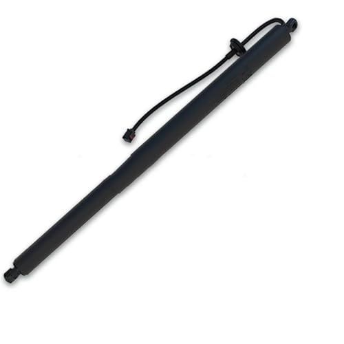 DZSQQGSDSF Gasdruckfedern Unterstützen 600661000b 6006611-00-B 600661100b Elektrische Heckklappe Trunk Gas Frühling Strut Teil Für Tesla Für Model S 2014-2020 Hydraulische Gasfeder(RH) von DZSQQGSDSF