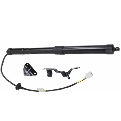 DZSQQGSDSF Gasdruckfedern Unterstützen 6891009010 6892009010 1 Xpair Auto Teile Elektrische Heckklappe Gasdruckfeder Für Toyota Für Rav4 2013-2018 Rh + Lh #6891009010 Hydraulische Gasfeder(rechts) von DZSQQGSDSF