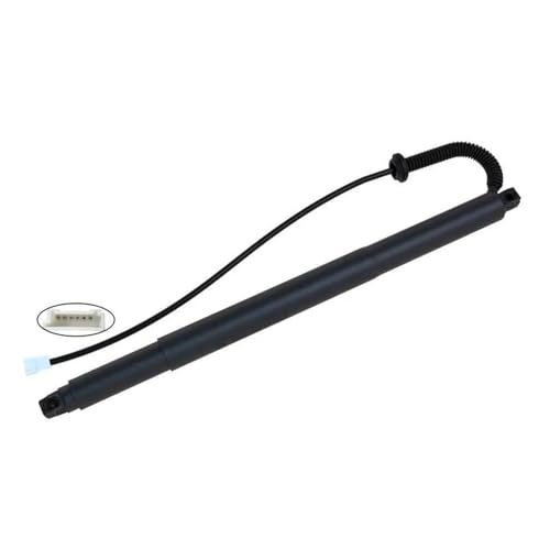 DZSQQGSDSF Gasdruckfedern Unterstützen Für X6 F16 2015-2019 Hatch Lift Unterstützung Opener Stoßdämpfer Elektrische Heckklappe Gasfeder Streben 51247318651 51247318652 Hydraulische Gasfeder(rechts) DZSQQGSDSF Gasdruckfedern Unterstützen Für X6 F16 2015-2019 Hatch Lift Unterstützung Opener Stoßdämpfer Elektrische Heckklappe Gasfeder Streben 51247318651 51247318652 Hydraulische Gasfeder(rechts) von DZSQQGSDSF