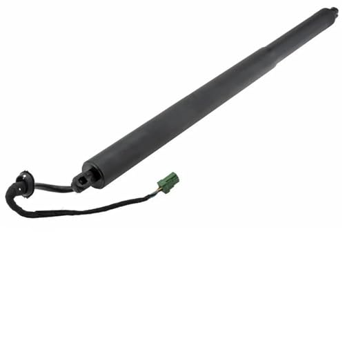 DZSQQGSDSF Gasdruckfedern Unterstützen Heckklappenöffner Für Opel Für Grandland X MK1 2017–2020, Elektrische Heckklappen-Gasdruckfedern 9828629780 Hydraulische Gasfeder(rechts) von DZSQQGSDSF