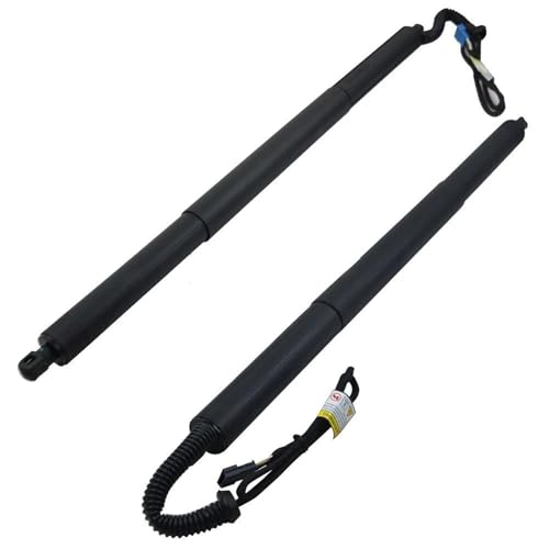 DZSQQGSDSF Gasdruckfedern Unterstützen Hinten Links + Rechts Elektrische Heckklappe Gas Strut Für X3 F25 18i 20i 28i 35i 51247232003 51247232004 Hydraulische Gasfeder DZSQQGSDSF Gasdruckfedern Unterstützen Hinten Links + Rechts Elektrische Heckklappe Gas Strut Für X3 F25 18i 20i 28i 35i 51247232003 51247232004 Hydraulische Gasfeder von DZSQQGSDSF