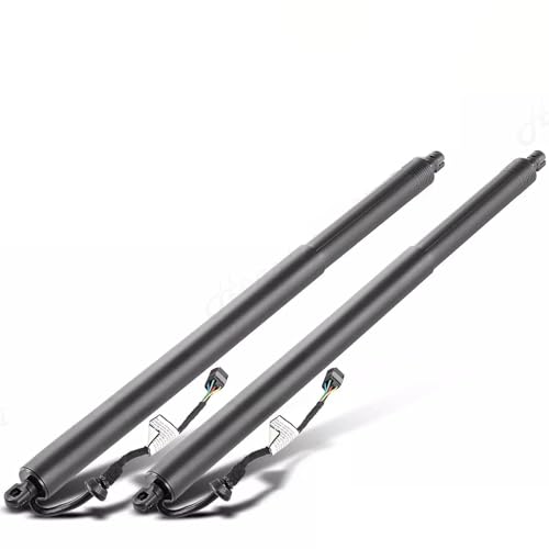 Gasdruckfedern Unterstützen 4KE827851F Elektrische Motor Heckklappe Für E-TRON Für Quattro 2018 2019 2020 Heckklappe Elektrische Power Lift Unterstützt Schock Hydraulische Gasfeder(L and R) von DZSQQGSDSF