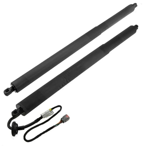 Gasdruckfedern Unterstützen Fk7br402a55ac Heckklappe Für Ford Für Edge Rolltreppe 2015 2016 2017 2018 2019 2020 2021 Heckklappe Power Hatch Lift Unterstützung Hydraulische Gasfeder(L and R) von DZSQQGSDSF
