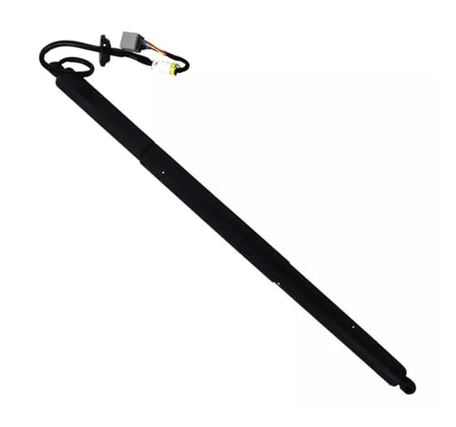 DZSYANJIASM Gasfeder Auto Rechts Hinten Lift Unterstützung Elektrische Heckklappe Spacer 600661000b Gepäck Air Spring Für Tesla Für Model S 2013-2020 DZSYANJIASM Gasfeder Auto Rechts Hinten Lift Unterstützung Elektrische Heckklappe Spacer 600661000b Gepäck Air Spring Für Tesla Für Model S 2013-2020 von DZSYANJIASM