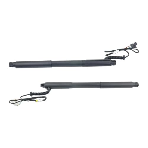 DZSYANJIASM Gasfeder Für X5 E70 E70LCI 2007-2013 2 stücke Hinten Links + Rechts Elektrische Heckklappe Heben Unterstützung 51247294587 51247294588 DZSYANJIASM Gasfeder Für X5 E70 E70LCI 2007-2013 2 stücke Hinten Links + Rechts Elektrische Heckklappe Heben Unterstützung 51247294587 51247294588 von DZSYANJIASM