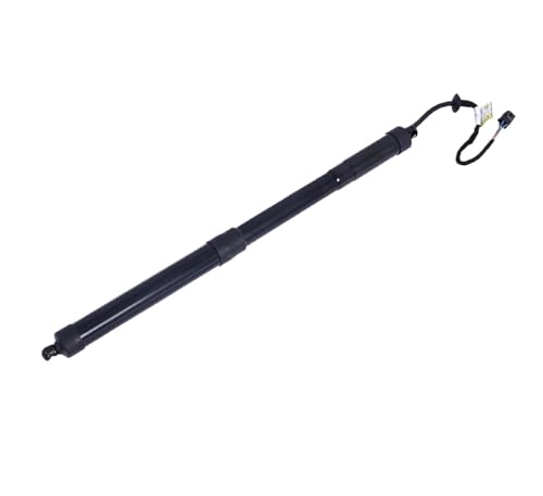 DZSYANJIASM Gasfeder Heckklappe Power Hatch Lift Unterstützung Opener Schock Für KIA Für Carnival Für Sedona 81770A9100 Elektrische Heckklappe Gas(Links) von DZSYANJIASM