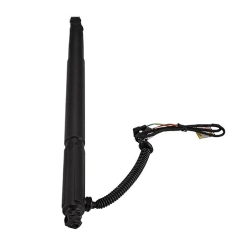 DZSYANJIASM Gasfeder OE 51247332697 51247332698 Automotive Teile Elektrische Heckklappe Heckklappe Strut Für X6 E71 2007-2014(Links) von DZSYANJIASM