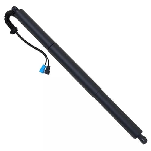 DZSYINGCHUSM Elektrische Gasfeder Auto Rechts Hinten Lift Unterstützung Elektrische Heckklappe Spacer 51247481807 Gepäck Fach Air Frühling Für X1 F48 2014-2020 Elektrisch Gasdruckfeder von DZSYINGCHUSM