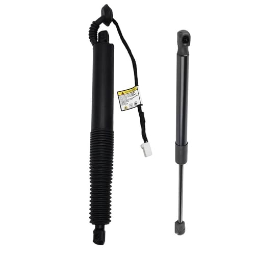 Elektrische Gasfeder Für Tesla Für Model 3 2021-2023 1 Paar Hinten Links Rechts Elektrische Heckklappe Heckklappe Trunk Strut Lift 1551488 Heckklappe Lift Unterstützung Elektrisch Gasdruckfeder von DZSYINGCHUSM