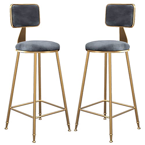 DZYHFCO Barhocker, 2er-Set, feste Hochstühle, Küche, Frühstück, mit Rückenlehne, hohe Stühle (Grau, Sitzhöhe 65 cm) von DZYHFCO