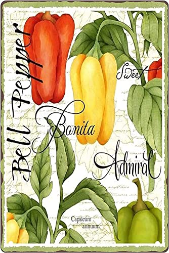 DZYQAWH Vintage Capsicum Annuum Metall-Blechschild Vintage Glocke Pfeffer Wanddekoration Plakette Blechposter Küche Zimmer Club Bar Kaffee Küche Garage Zuhause Geschenk für Frauen Männer 20,3 x 15,2 von DZYQAWH