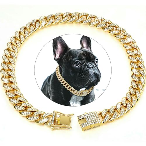 DaBingDian 1 Stück Diamant-Halsband im kubanischen Stil, Hundehalsband mit Metallkette und sicherer Schnalle für kleine und mittelgroße Hunderassen DaBingDian 1 Stück Diamant-Halsband im kubanischen Stil, Hundehalsband mit Metallkette und sicherer Schnalle für kleine und mittelgroße Hunderassen von DaBingDian