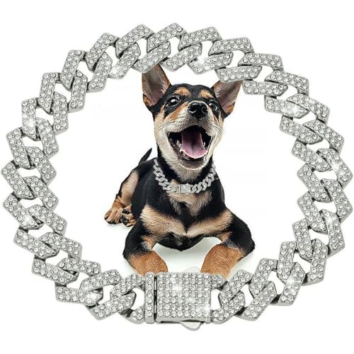 DaBingDian 1 Stück Diamant-Halsband im kubanischen Stil, Hundehalsband mit Metallkette und sicherer Schnalle für kleine und mittelgroße Hunderassen DaBingDian 1 Stück Diamant-Halsband im kubanischen Stil, Hundehalsband mit Metallkette und sicherer Schnalle für kleine und mittelgroße Hunderassen von DaBingDian