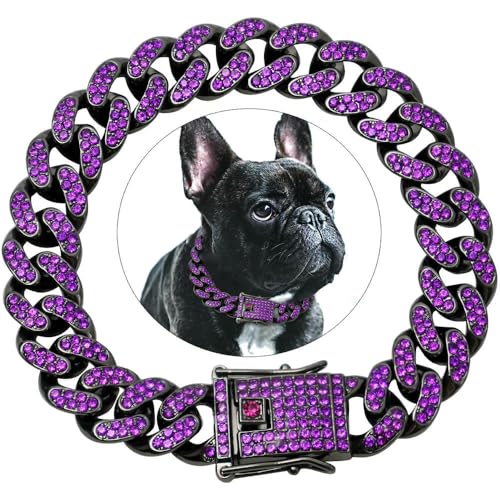 DaBingDian 1 Stück Diamant-Halsband im kubanischen Stil, Hundehalsband mit Metallkette und sicherer Schnalle für kleine und mittelgroße Hunderassen DaBingDian 1 Stück Diamant-Halsband im kubanischen Stil, Hundehalsband mit Metallkette und sicherer Schnalle für kleine und mittelgroße Hunderassen von DaBingDian