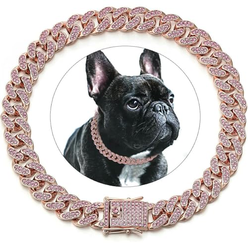 DaBingDian 1 Stück Diamant-Halsband im kubanischen Stil, Hundehalsband mit Metallkette und sicherer Schnalle für kleine und mittelgroße Hunderassen DaBingDian 1 Stück Diamant-Halsband im kubanischen Stil, Hundehalsband mit Metallkette und sicherer Schnalle für kleine und mittelgroße Hunderassen von DaBingDian
