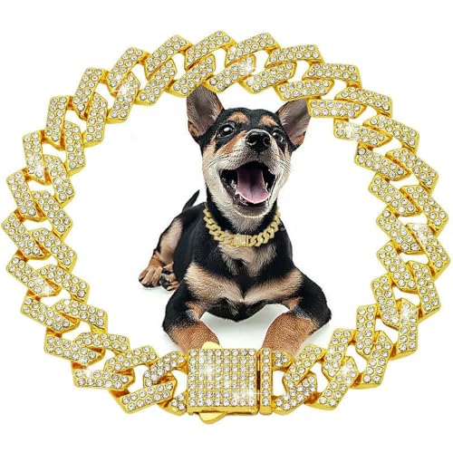 DaBingDian 1 Stück Diamant-Halsband im kubanischen Stil, Hundehalsband mit Metallkette und sicherer Schnalle für kleine und mittelgroße Hunderassen von DaBingDian