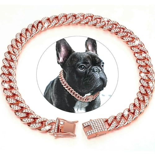 DaBingDian 1 Stück Diamant-Halsband im kubanischen Stil, Hundehalsband mit Metallkette und sicherer Schnalle für kleine und mittelgroße Hunderassen DaBingDian 1 Stück Diamant-Halsband im kubanischen Stil, Hundehalsband mit Metallkette und sicherer Schnalle für kleine und mittelgroße Hunderassen von DaBingDian