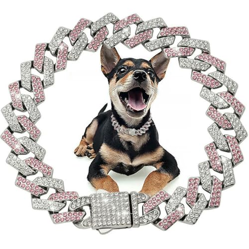 DaBingDian Haustierhalsbänder für kleine, mittelgroße und große Hunde, Katzen, Goldkette, Diamant-Kuba-Halsband mit Design, sichere Schnalle, Haustierhalskette von DaBingDian