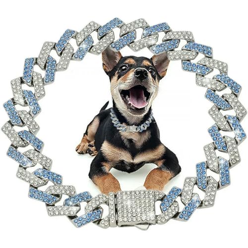 DaBingDian Hundehalsband mit Diamant-Kuba-Gliedern, Edelstahl-Metallkette mit sicherer Verschlussschnalle für kleine und mittelgroße Hunde, luxuriöses Haustierschmuck-Accessoire DaBingDian Hundehalsband mit Diamant-Kuba-Gliedern, Edelstahl-Metallkette mit sicherer Verschlussschnalle für kleine und mittelgroße Hunde, luxuriöses Haustierschmuck-Accessoire von DaBingDian