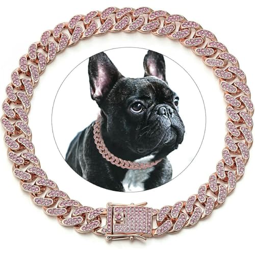 DaBingDian Hundehalsband mit Diamant-Kuba-Gliedern, Edelstahl-Metallkette mit sicherer Verschlussschnalle für kleine und mittelgroße Hunde, luxuriöses Haustierschmuck-Accessoire DaBingDian Hundehalsband mit Diamant-Kuba-Gliedern, Edelstahl-Metallkette mit sicherer Verschlussschnalle für kleine und mittelgroße Hunde, luxuriöses Haustierschmuck-Accessoire von DaBingDian
