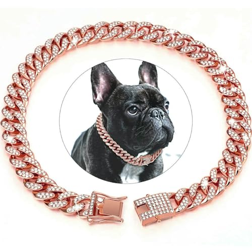 DaBingDian Hundehalsband mit Diamant-Kuba-Gliedern, Edelstahl-Metallkette mit sicherer Verschlussschnalle für kleine und mittelgroße Hunde, luxuriöses Haustierschmuck-Accessoire DaBingDian Hundehalsband mit Diamant-Kuba-Gliedern, Edelstahl-Metallkette mit sicherer Verschlussschnalle für kleine und mittelgroße Hunde, luxuriöses Haustierschmuck-Accessoire von DaBingDian
