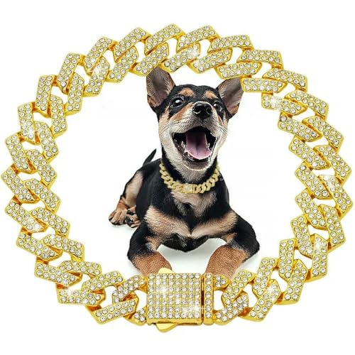 DaBingDian Hundehalsband mit Diamant-Kuba-Gliedern, Edelstahl-Metallkette mit sicherer Verschlussschnalle für kleine und mittelgroße Hunde, luxuriöses Haustierschmuck-Accessoire DaBingDian Hundehalsband mit Diamant-Kuba-Gliedern, Edelstahl-Metallkette mit sicherer Verschlussschnalle für kleine und mittelgroße Hunde, luxuriöses Haustierschmuck-Accessoire von DaBingDian