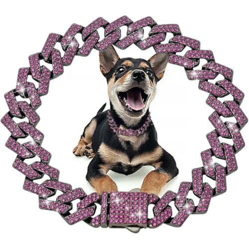 DaBingDian Hundehalsband mit Diamant-Kuba-Gliedern, Edelstahl-Metallkette mit sicherer Verschlussschnalle für kleine und mittelgroße Hunde, luxuriöses Haustierschmuck-Accessoire DaBingDian Hundehalsband mit Diamant-Kuba-Gliedern, Edelstahl-Metallkette mit sicherer Verschlussschnalle für kleine und mittelgroße Hunde, luxuriöses Haustierschmuck-Accessoire von DaBingDian