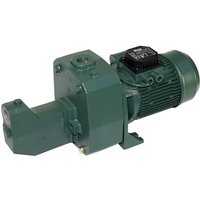 DAB - Jet 251 m Gartenpumpe - 7.200 L/Std. - 2200W - Förderhöhe 62 m - Sehr robuste - Bewässerungspumpe von Dab