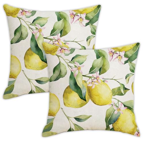 DabbOo 2-Teiliger Outdoor Kissen Kissenhülle Kissen Wasserfest Wasserfeste Kissenbezüge Outdoor Wetterfeste Kissenbezug Lemon Cushion Covers Geeignet Für Wohnzimmer Bank Terrassendekoration (45x45cm) von DabbOo