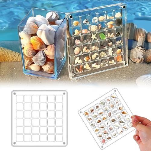 Muschel Displaybox 36 Grids Acrylic Magnetic Seashell Display Box Klare Muschel Ausstellungsbox Gitter Design Multifunktionale Transparente Schmuck Vitrine Diamond Jewelry Display Organizer Box Muschel Displaybox 36 Grids Acrylic Magnetic Seashell Display Box Klare Muschel Ausstellungsbox Gitter Design Multifunktionale Transparente Schmuck Vitrine Diamond Jewelry Display Organizer Box von DabbOo