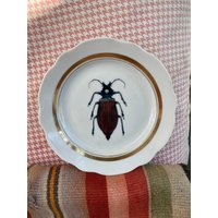 Wanddekor Insekten, Käfer, Käfer Teller von DadaVintageCom