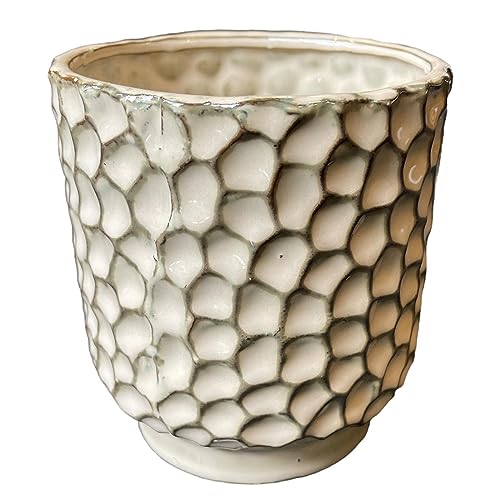 Dadeldo Living & Lifestyle Blumentopf Steingut Lano 15x13cm Creme-Olive Übertopf Dekoration von Dadeldo Living & Lifestyle