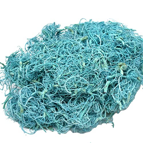 Dadeldo Living & Lifestyle Curly Moos Washed 500g Trockenblumen aqua Dekoration Boho Natur Dadeldo Living & Lifestyle Curly Moos Washed 500g Trockenblumen aqua Dekoration Boho Natur von Dadeldo Living & Lifestyle