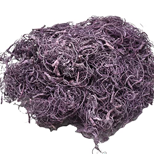 Curly Moos Washed 500g Trockenblumen Burgundy Dekoration Boho Natur von Dadeldo Living & Lifestyle