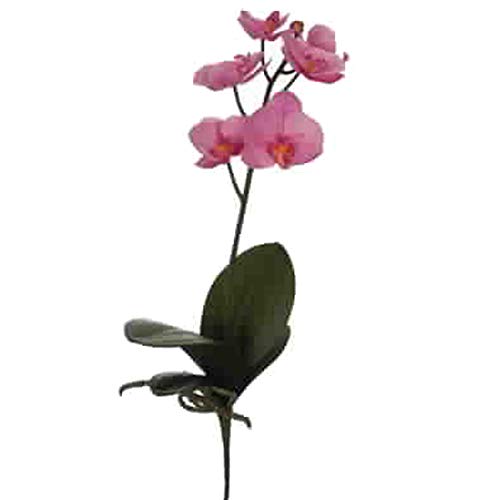 Dadeldo Living & Lifestyle Kunstblume Seidenblumen -Orchidee- Stiel 47cm Lavender von Dadeldo Living & Lifestyle