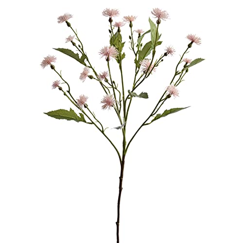 Dadeldo Living & Lifestyle Kunstblume -Sweet Daisy- Stiel 72cm rosa Dekoration Seidenblumen von Dadeldo Living & Lifestyle