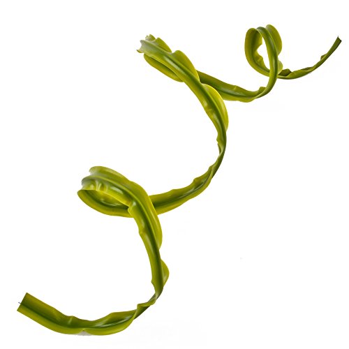 Dadeldo Living & Lifestyle Kunstpflanze Sling-Floral Kunststoff grün Kunstblume (100x1,5cm) von Dadeldo Living & Lifestyle