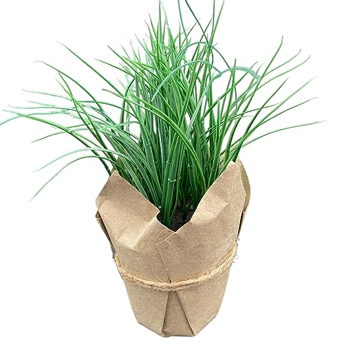 Dadeldo Living & Lifestyle Kunstpflanze -Gras Papiertopf- 30cm grün Dekoration Kunstblume von Dadeldo Living & Lifestyle