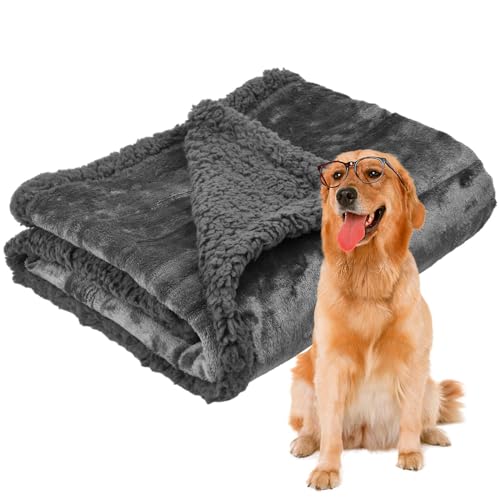 Hundedecke, 71x100cm Katzendecke Flauschig für Sofa, Waschbare Welpendecke, Haustierdecke Wasserdicht, Zweiseitiges Material Haustier Decken, Bett Decken für Katze Hunde (Grau) von Daelesr